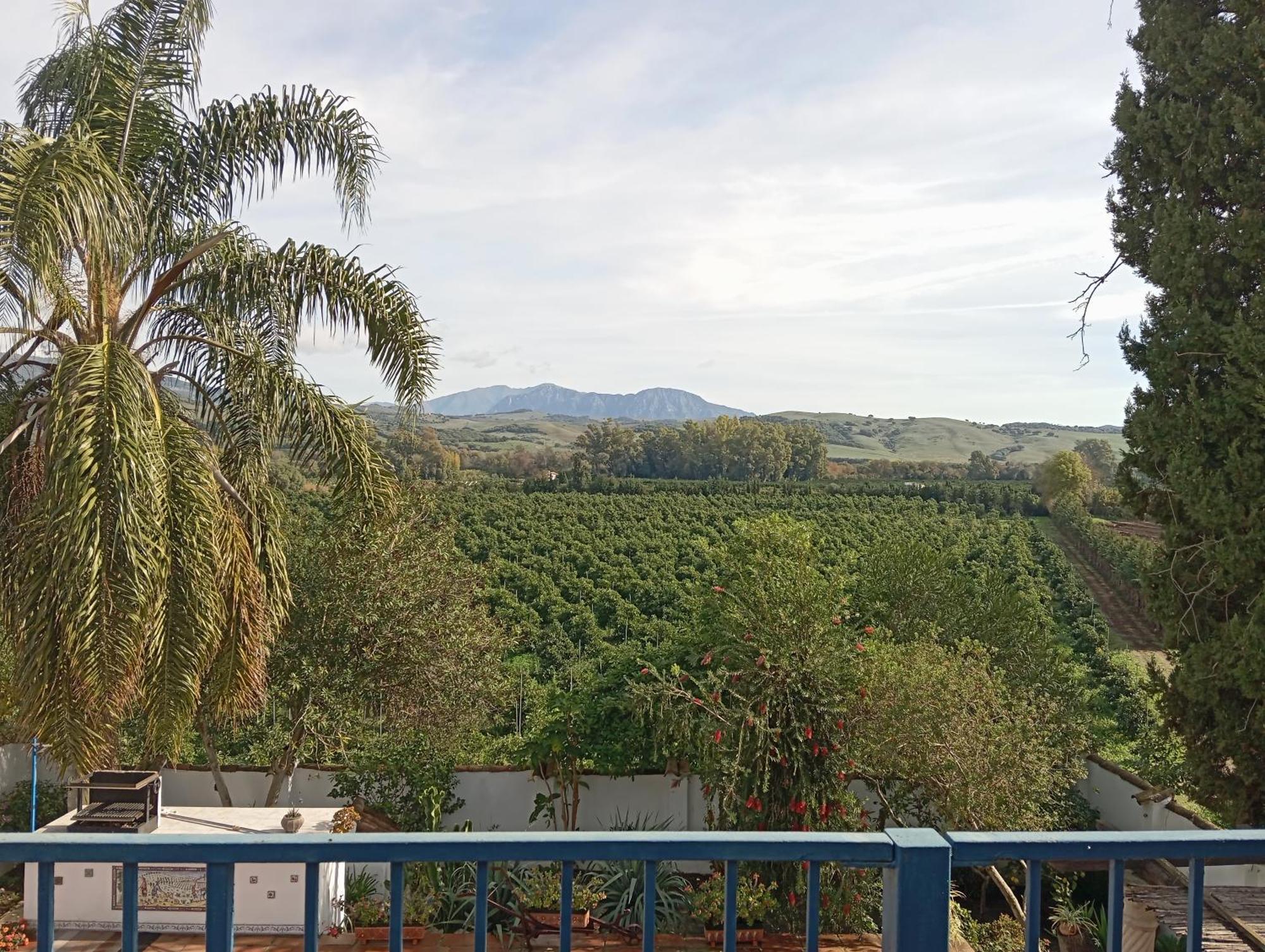 Los Dos Cedros San Pablo Eksteriør bilde
